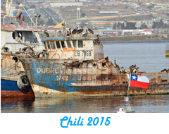 Chili 2015